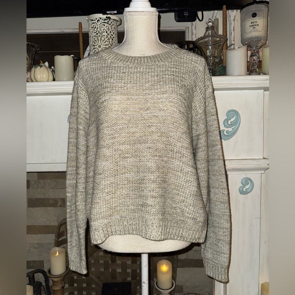 Susina Womens Sweater Size L Oatmeal Beige Long Sleeve Relaxed Pullover